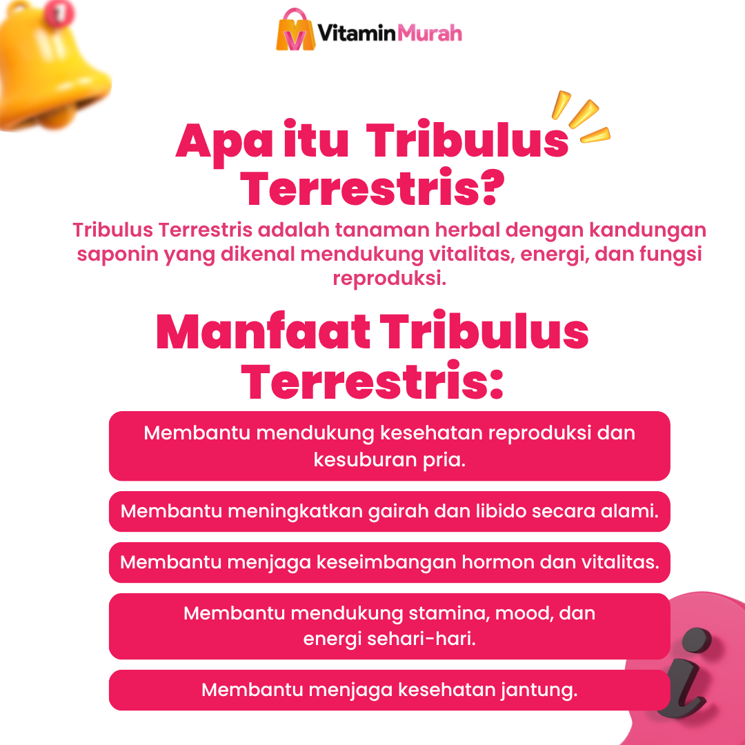 TRIBESMAN - Gambar 5