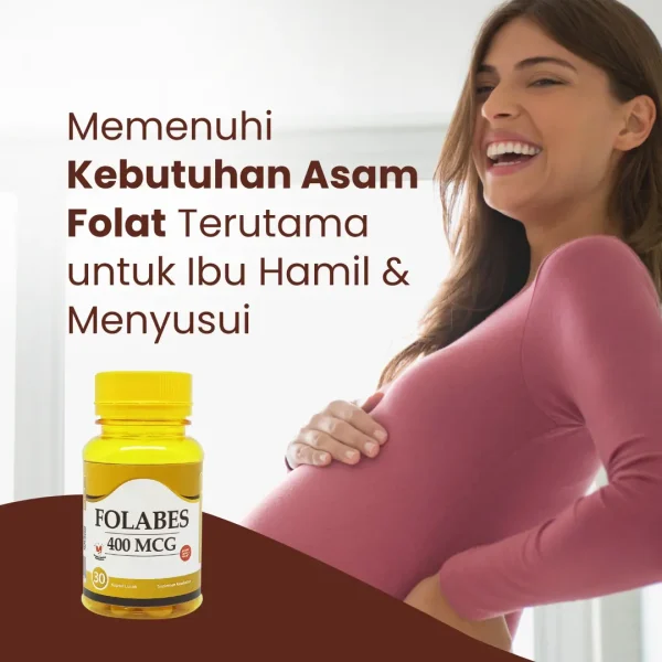 FOLABES - Gambar 2