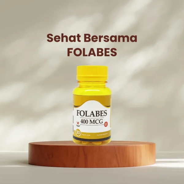FOLABES - Gambar 4