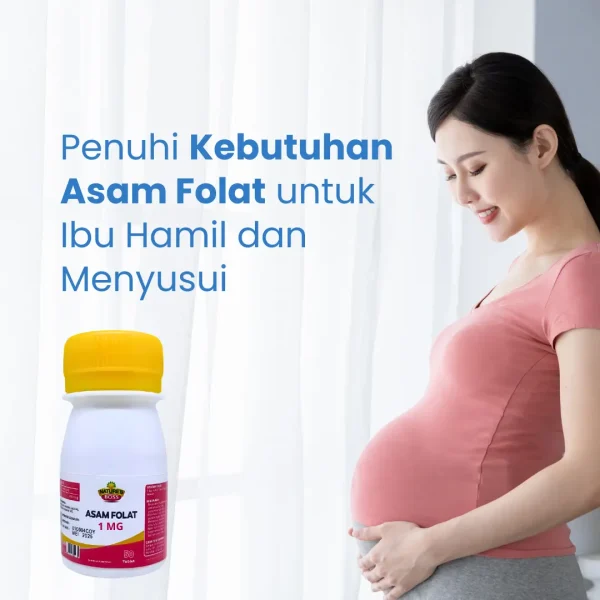 NATURE'S BOSS ASAM FOLAT 1MG - Gambar 2