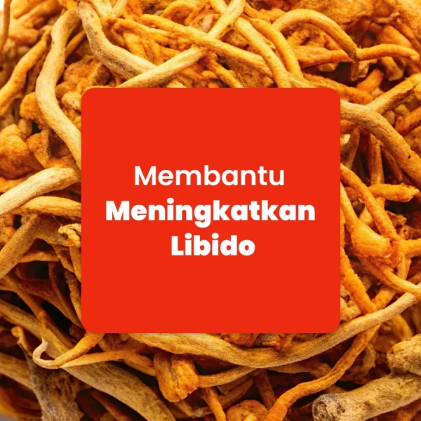 NATURE'S PRIDE CORDYCEPS - Gambar 3