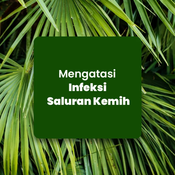 NATURE'S PRIDE SAW PALMETTO - Gambar 3