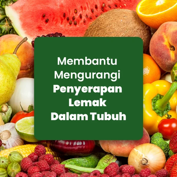 NATURE'S PRIDE SLIMAFUN - Gambar 3
