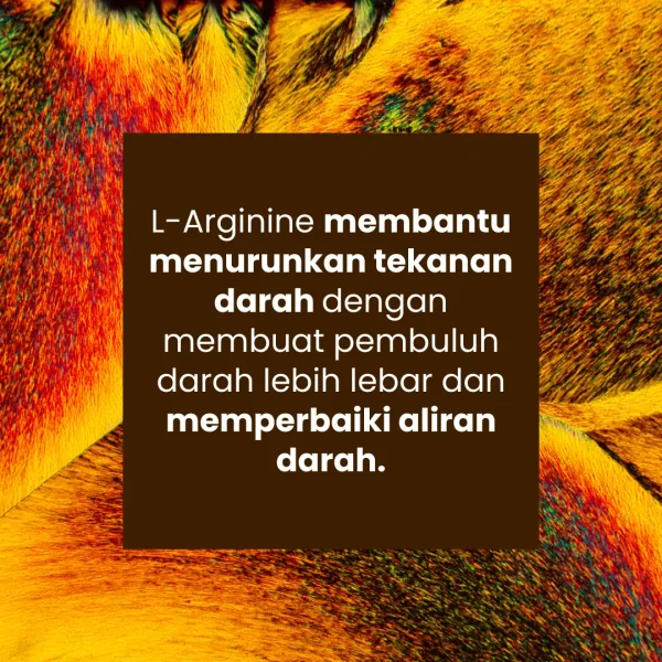 ULTI PRIDE L-ARGININE - Gambar 3