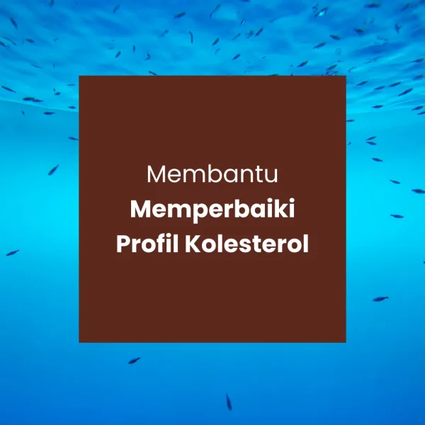 VELOSURE Q - Gambar 3