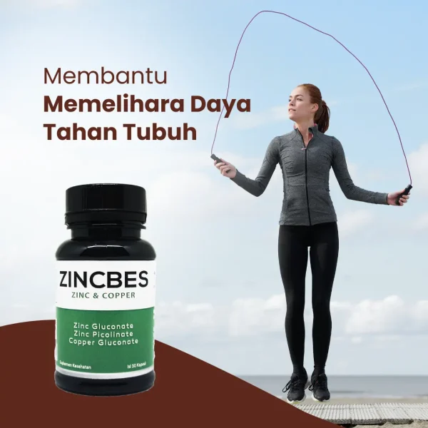 ZINCBES - Gambar 2