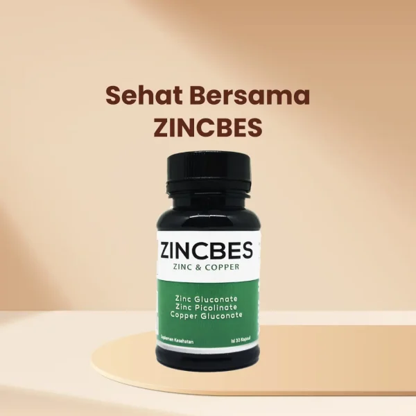 ZINCBES - Gambar 4