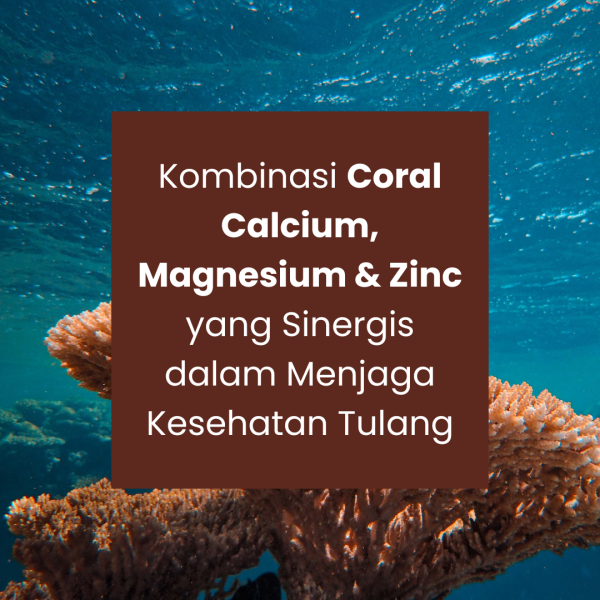 ULTIGAR CALMAGZINC - Gambar 3