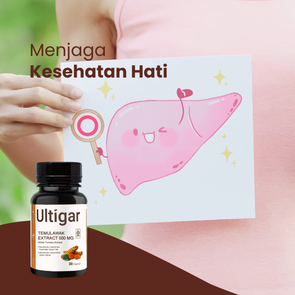 ULTIGAR TEMULAWAK EXTRACT 500 MG - Gambar 2