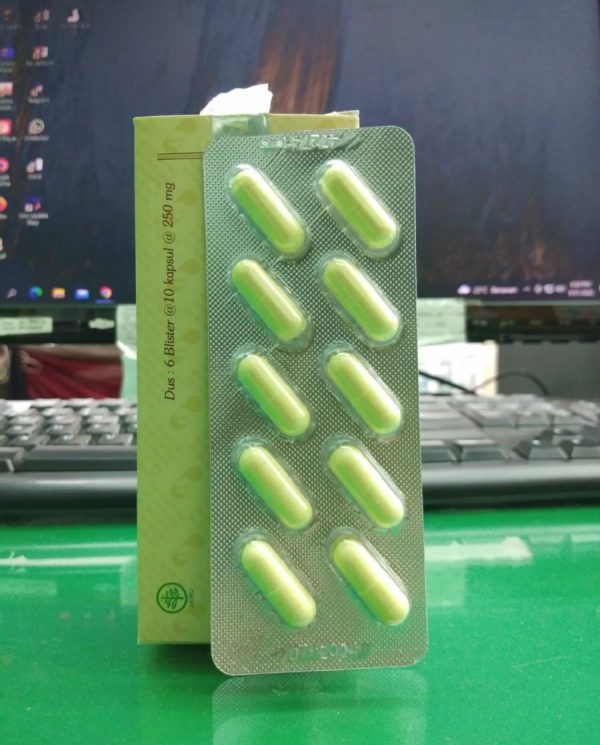 TROMBOLES 1 BLISTER ISI 10 KAPSUL DARI BIOLIFE MEDILAB